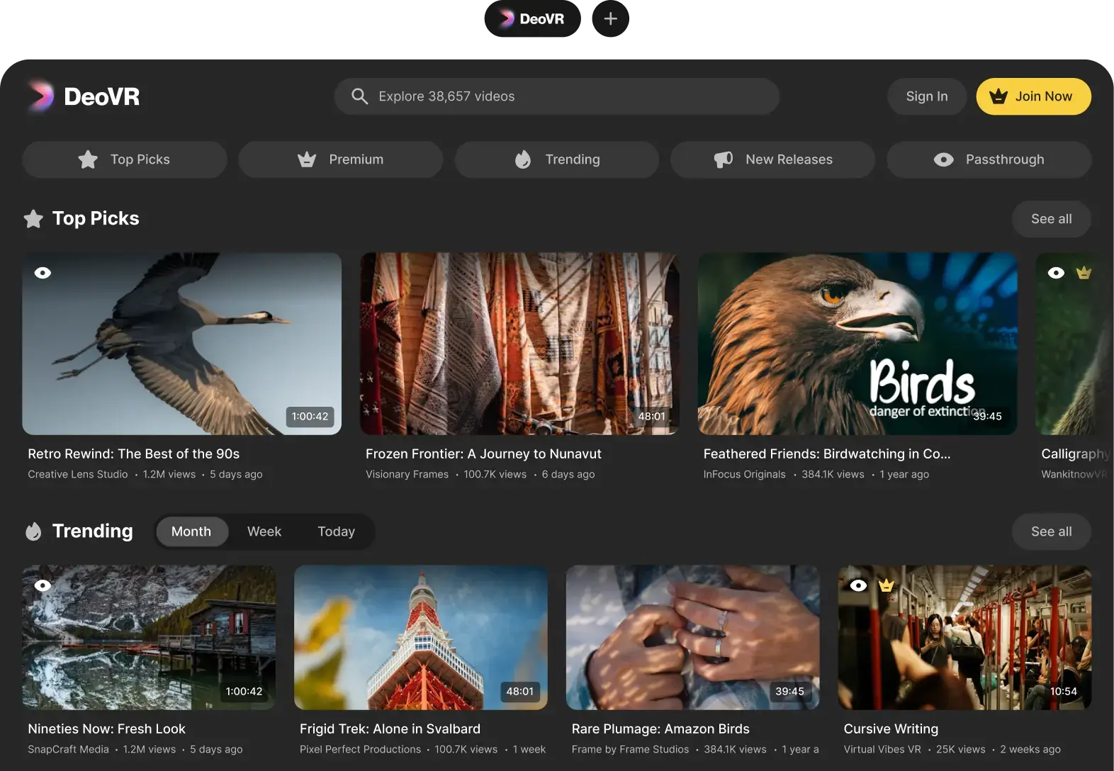 Screen View